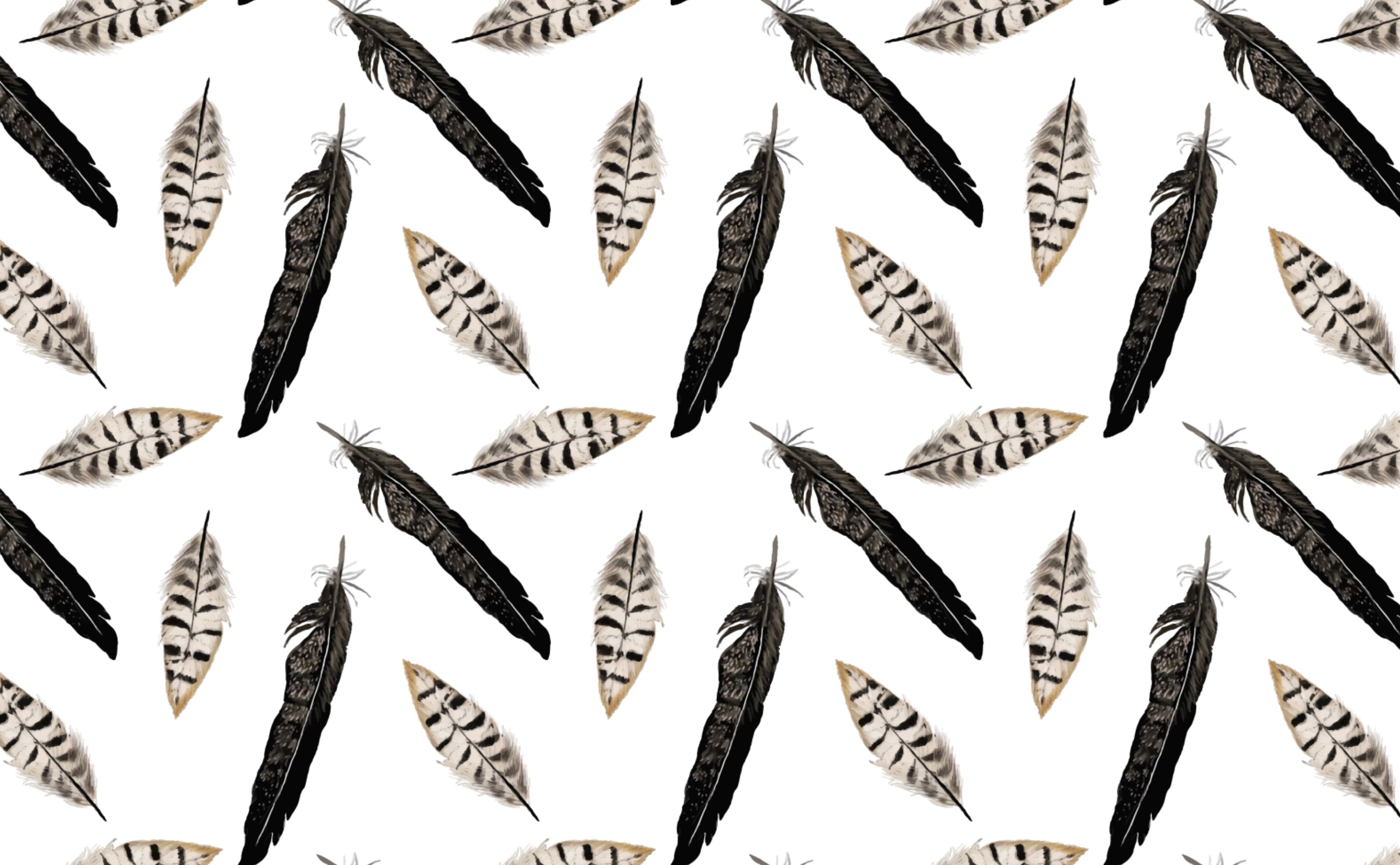 feathers pattern hd wallpaper