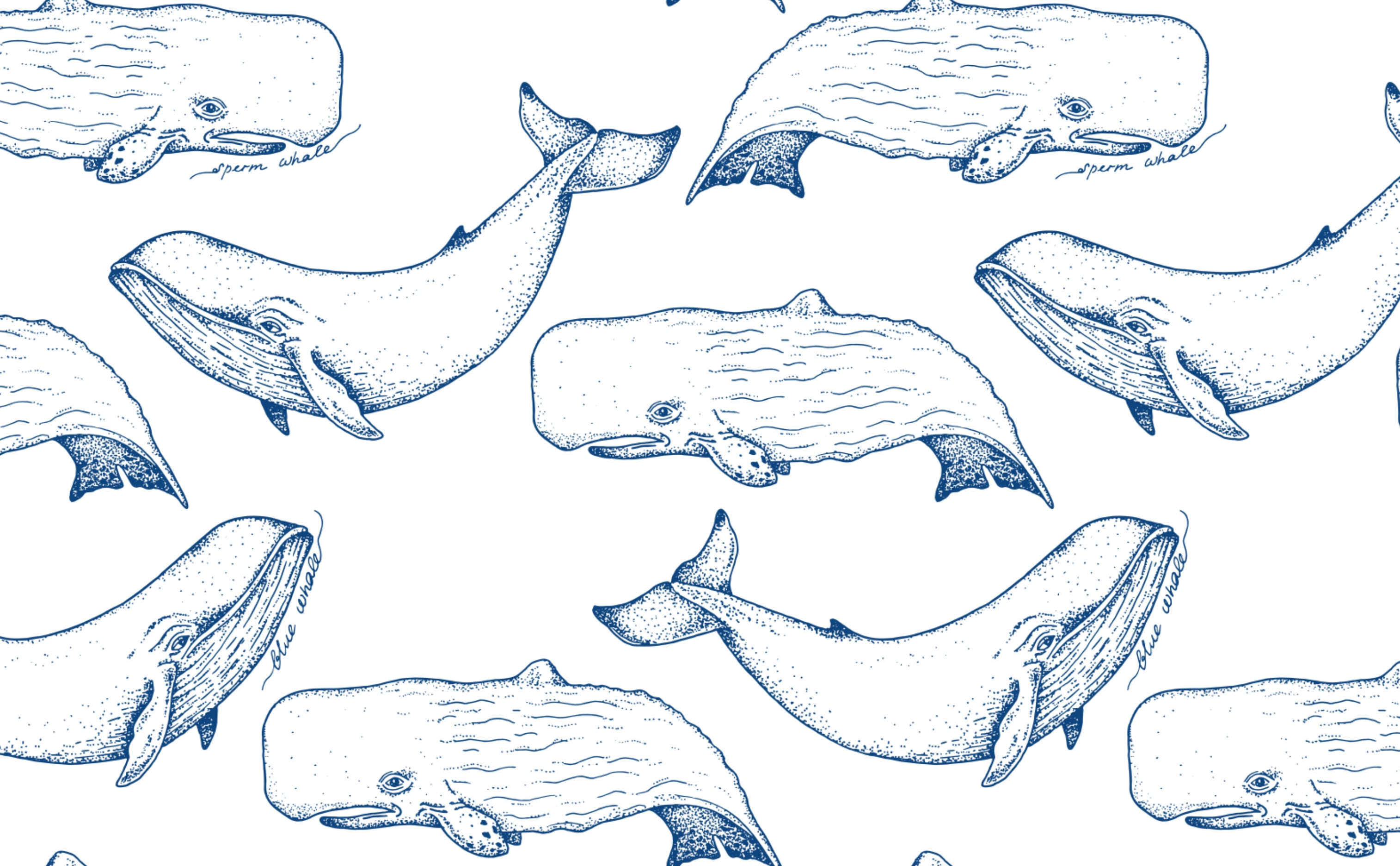 I Love Wallpaper Whale Hello Wallpaper Blue and Grey