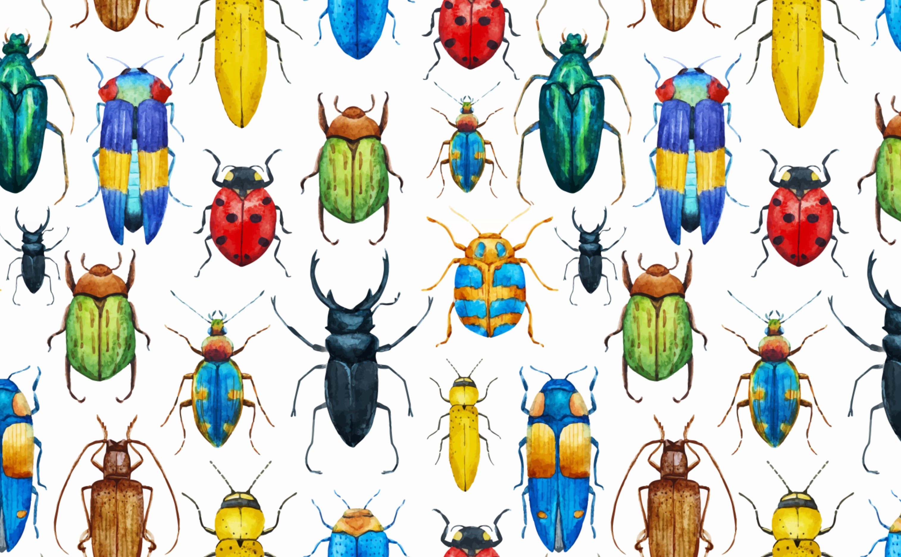 Illustration Of A Bugs Wallpaper Royalty Free SVG Cliparts Vectors And  Stock Illustration Image 13700227