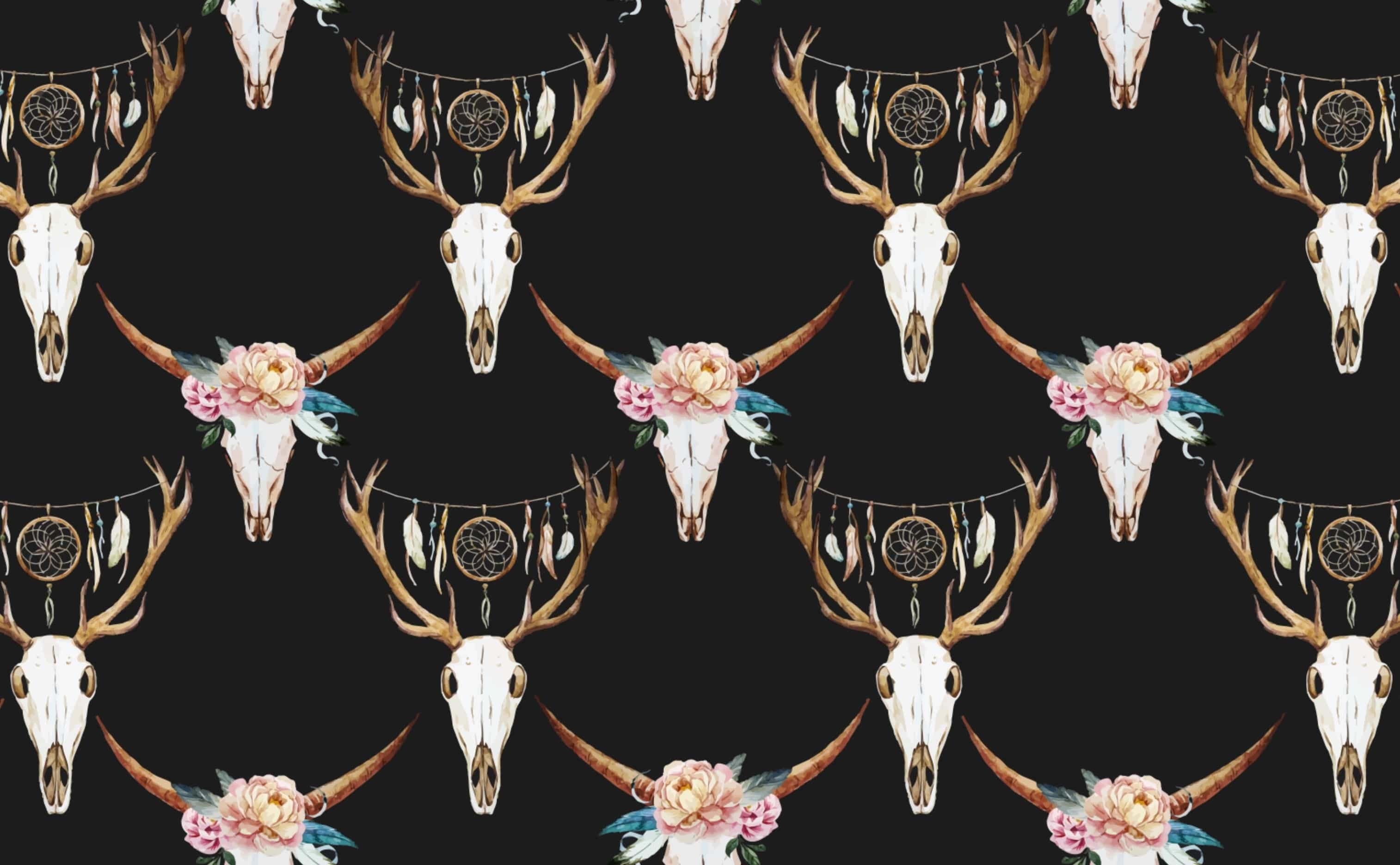 Download A Pattern With Cow Skulls And Flowers Wallpaper  Wallpaperscom