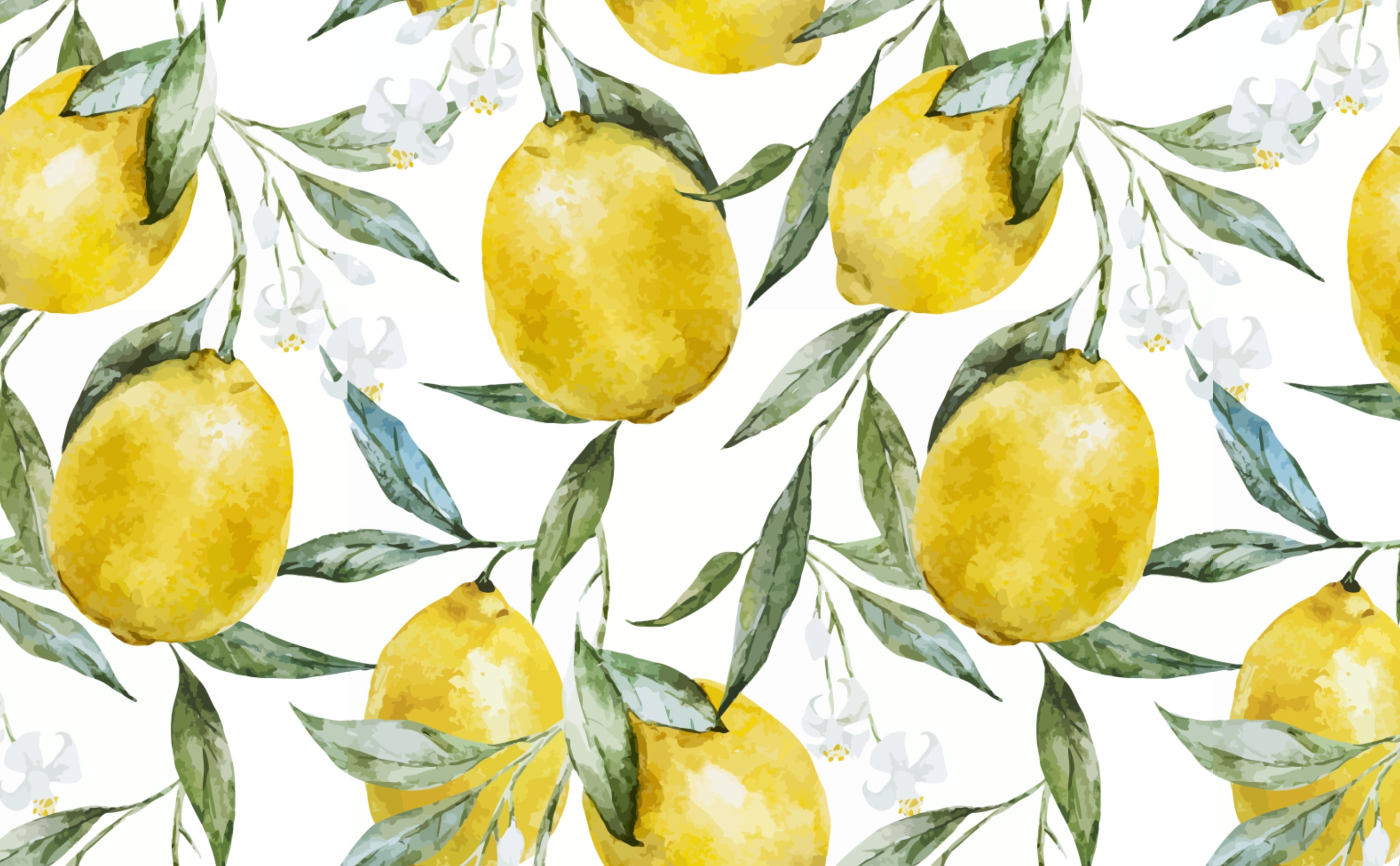Life of Lemons Sample