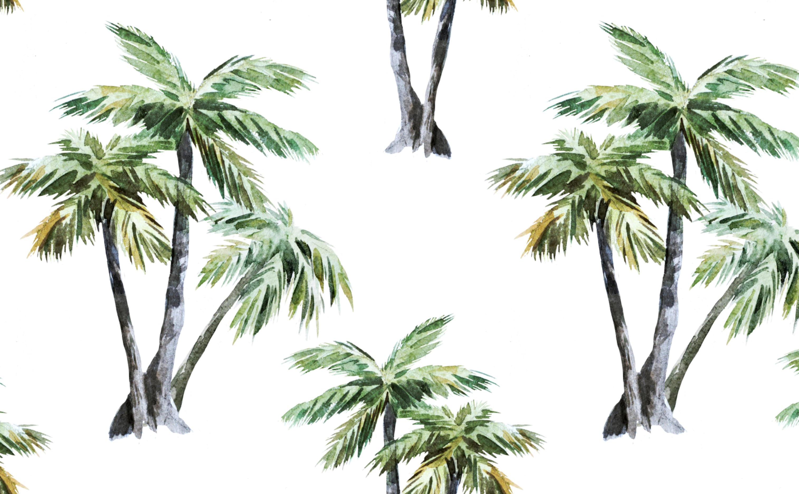 Tropical Palms Sample