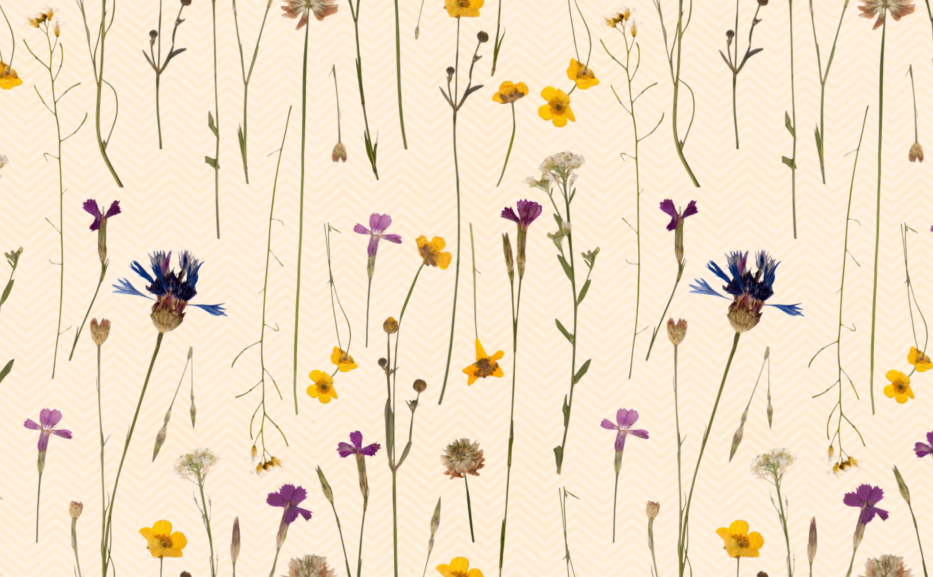 Graham & Brown Wildflower Wallpaper - 104069 - Sand