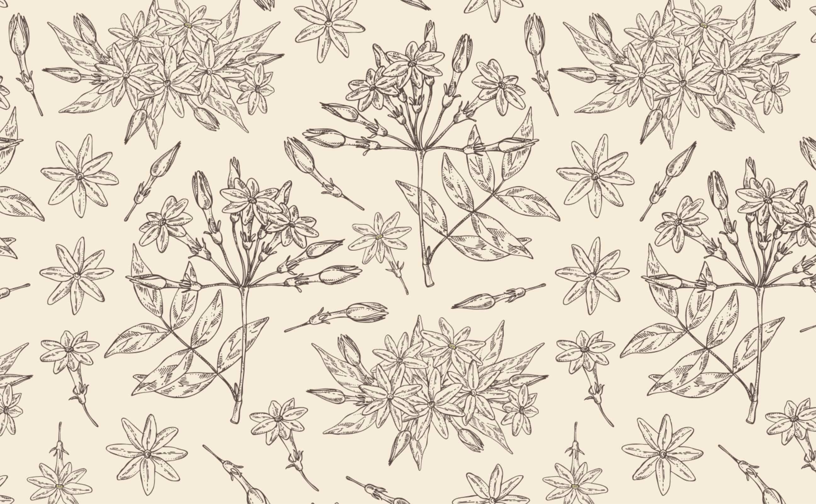 https://wallsneedlove.com/cdn/shop/products/w0529_1s_Tan-sketch-outline-jasmine-flower-botanical-plant-illustrated-wallpaper-Jasmine-Dreams_Repeating-Pattern-Sample-1.jpg?v=1604088822