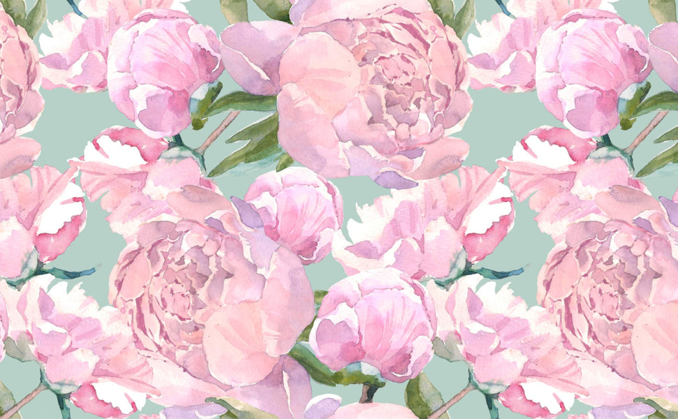 100+] Peony Iphone Wallpapers | Wallpapers.com