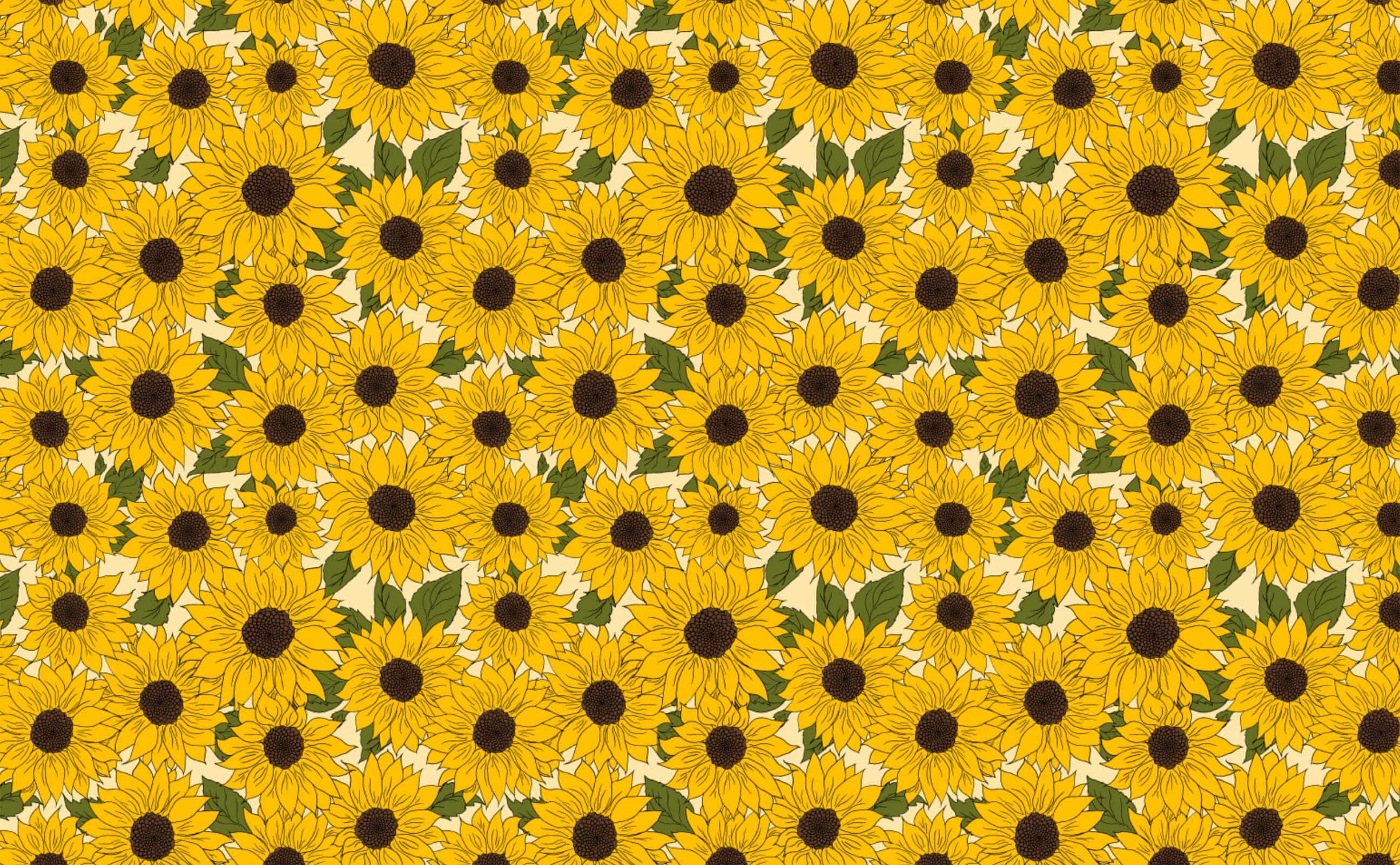 ▷ Sunflower wallpaper 📱 | Wallery