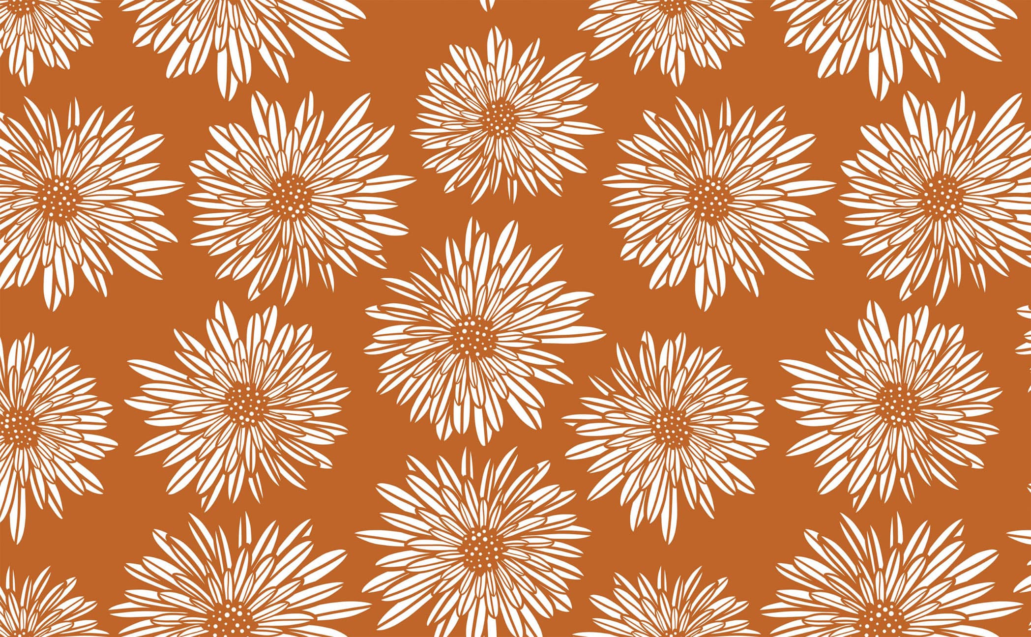 Beautiful red daisy flower on pastel brown background. Aesthetic